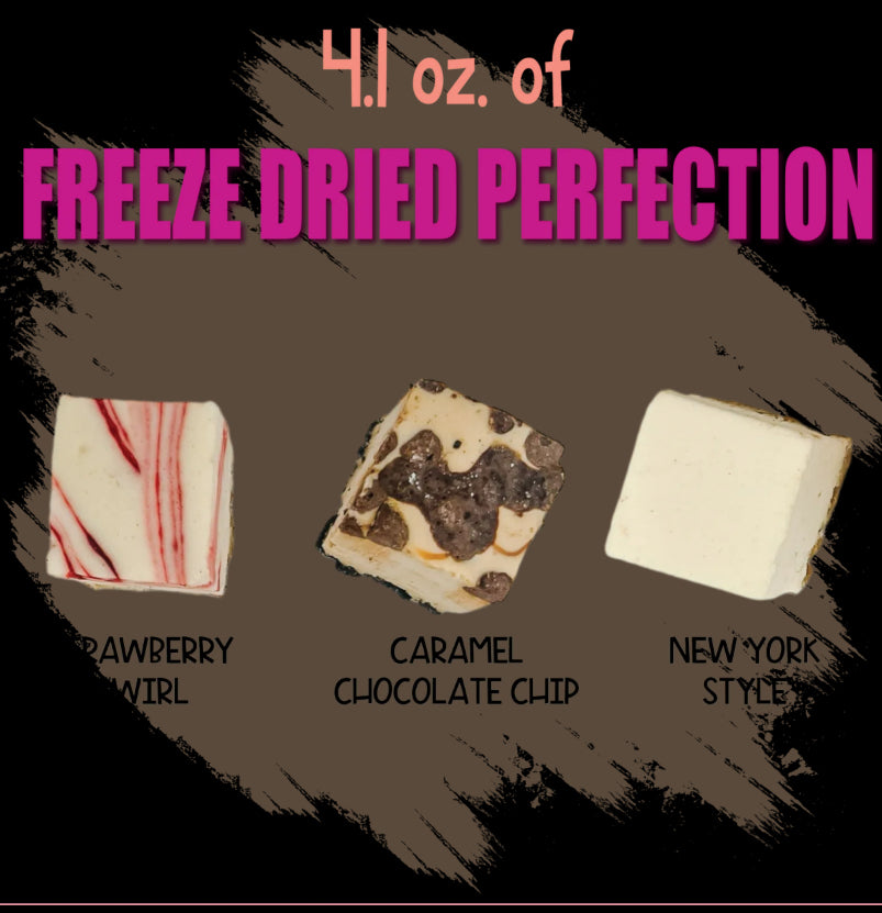 FREEZE DRIED CHEESECAKE